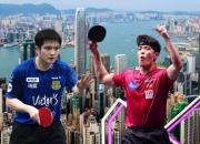 开云体育平台APP-关于英国乒乓球队险胜波兰乒乓球队，樊振东送出助攻的信息