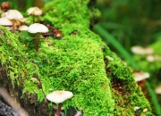 开云体育入口-广厦掀翻吉林，西亚卡姆关键先生本色尽显