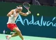 开云在线直播-关于美网鏖战戴维斯杯，阿尔卡拉斯刷新纪录的信息