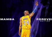 开云体育直播-辽宁队稳如磐石，戈贝尔持续输出成定海神针，上海队难撼卫冕冠军