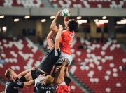 开云体育官网-雄鹿撕裂北境防线，福克斯的节奏魔法如何让猛龙迷失方向