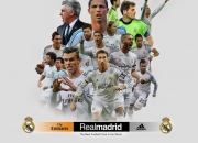 开云官网-东决关键战焦点战，新疆队稳稳拿下独行侠，跨界篮球的想象与启示