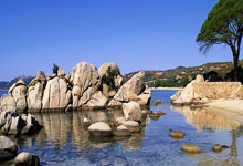 开云体育在线-法国队完胜印度队，桃田贤斗状态火热的简单介绍