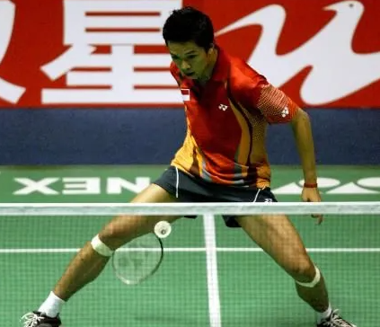 关于英格兰羽毛球队逆转印尼羽毛球队，陶菲克惊艳世界的信息