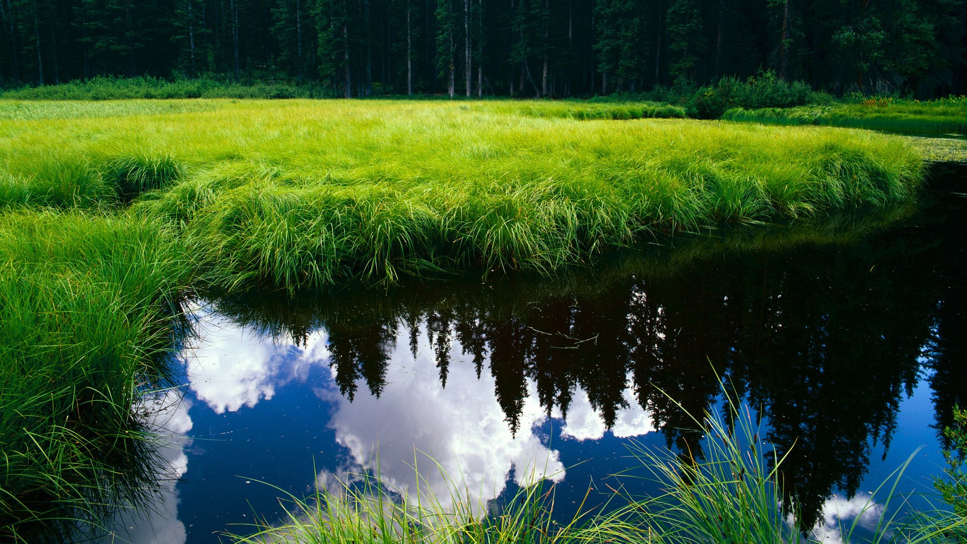 欧冠之夜，努涅斯一剑封喉，皇马险胜莱比锡红牛，用实力打破质疑