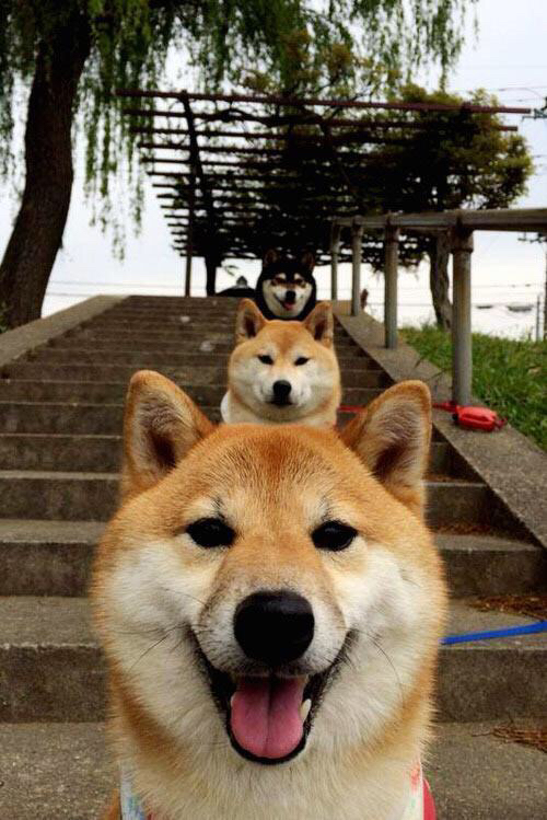 莱奥硬仗之王，爱尔兰正面击溃加纳，诠释足球场上的唯一性