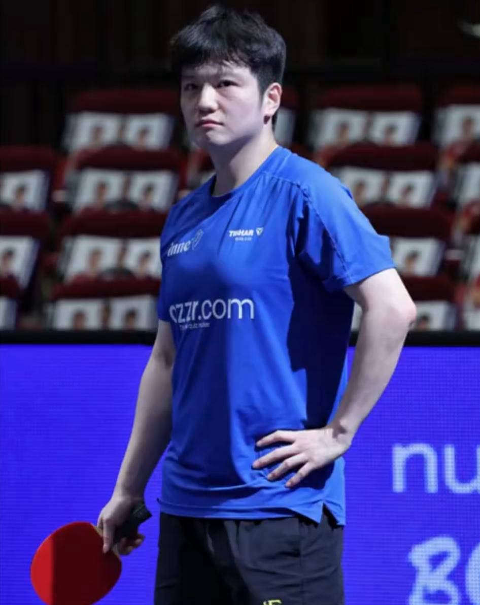 包含波兰队力克韩国队，樊振东高光表现的词条